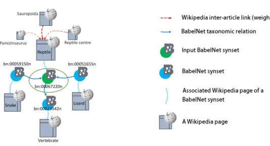 Figure 4.2. Our procedure for getting contextual information of the sample BabelNet synset represented by its main sense reptile 1 n .
