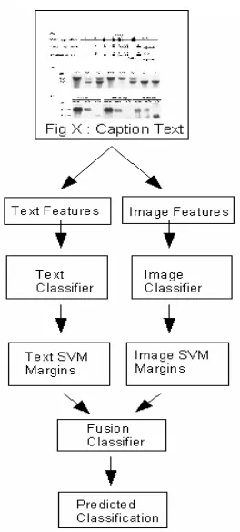 Figure 6. System Flow-chart 