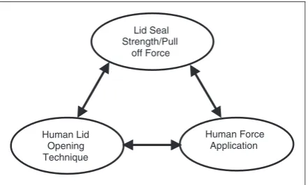 Figure 2. The three areas of research into flexible packaging.