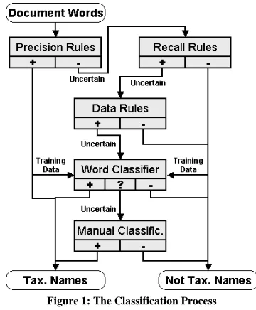 Figure 1: The Classification Process 