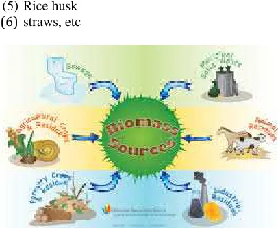 Fig 2.1 Sources of Biomass 