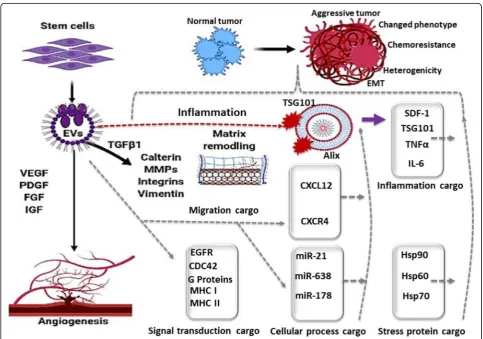 Fig. 1 A schematic overview of the role of extracellular vesicles (EVs) in the cellular microenvironment