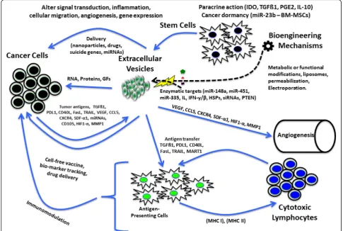 Fig. 2 Schematic of interactions between EVs, stem cells, and cancer cells in the process of oncogenesis, and the differential bioengineeringapplications of EVs and stem cells for effecting anti-oncogenic activity