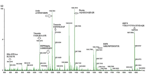 504 Figure 1 505  