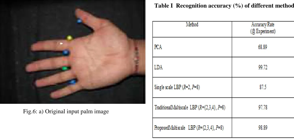 Fig.6: b) Extracted ROI of palm image 