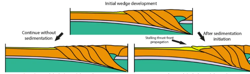 Figure 9. Conceptual ﬁgure showing the difference between the evolution of a mountain belt with and without intensive late-stage sedimen-tation