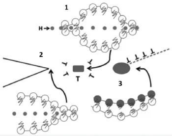 Figure 10: Schematic diagram, explaining HEDE mechanism of hydrogen embrittlement due to  the weakening of the atomic bonds by (1) hydrogen in the crystal lattice, (2) hydrogen absorbed  at the crack tip, and (3) hydrogen trapped at the inclusion-matrix in