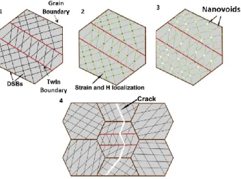 Figure 12: Schematic diagram, explaining void-formation mechanism of hydrogen embrittlement,  adopted from [87] 