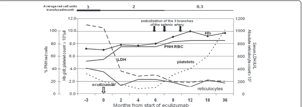Figure 4 Time course of hematological parameters of patient 4 in relation to eculizumab treatment and SSAE treatment