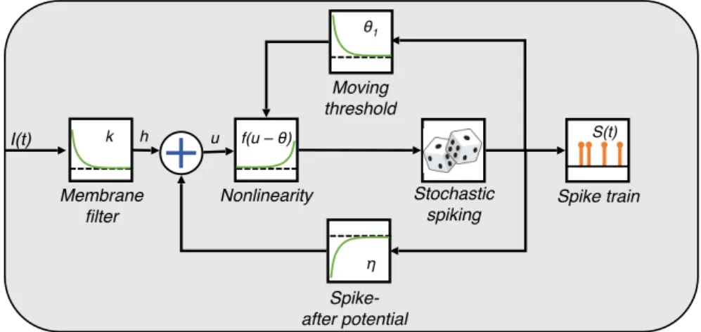 Figure 1.6: Schematic description of the SRM. The variable h indicates the input potential after being filtered; the other quantities are presented in the text.