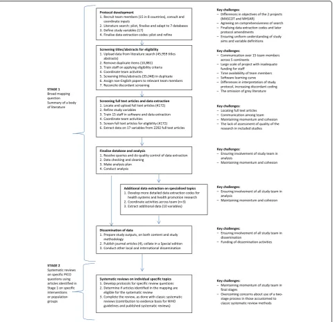 Fig. 1 Review process and key challenges