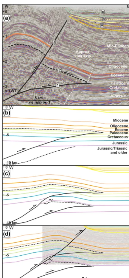 Fig. 11c supports the fault interpretation and the amount ofshortening applied to these frontal structures (about 5000 mof horizontal shortening)