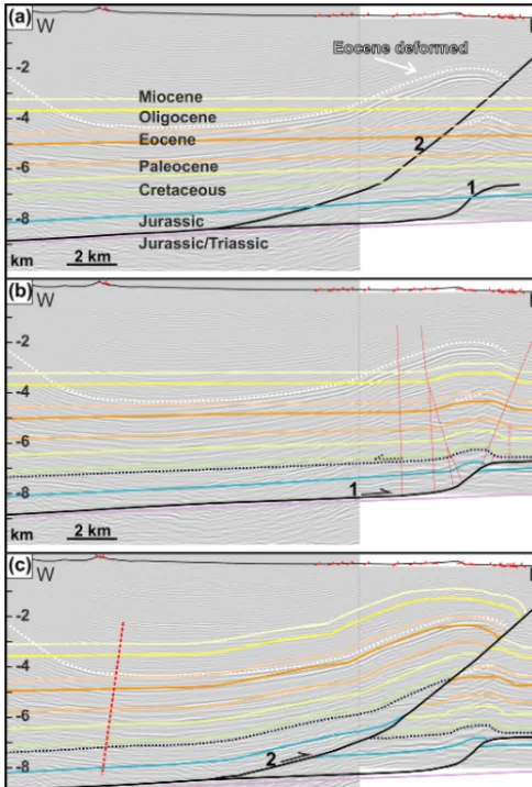 Fig. 2h) and structural elevation remains high (more than6000 m), as indicated by the outcropping of the Jurassic invarious folds (Figs