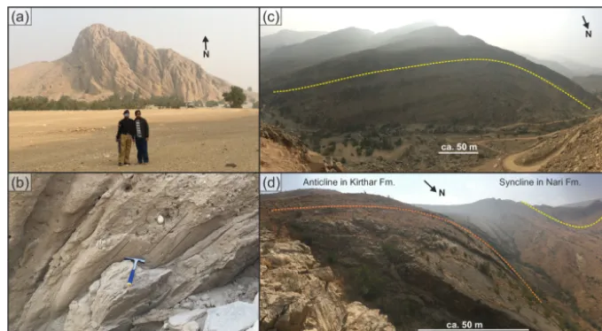 Figure 8. Examples for observations from ﬁeldwork. (a) Sub-recent conglomeratic sediments are folded and eroded