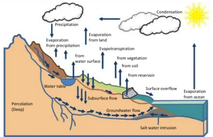 Figure 1.1: An illustration of the hydrological processes that have to be taken into account when modelling stream flow with a physically based rainfall-runoff model, redrawn from Encyclopaedia Britannica (2017).