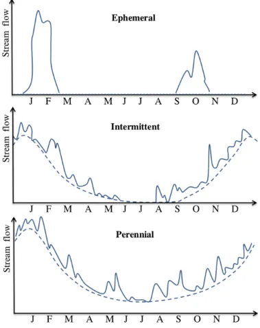 Figure 2.2: Typical hydrographs of the three types of rivers over a one year period. The dashed curves indicate the base flow of each type of river, whereas the solid curves show the hydrographs during storms.