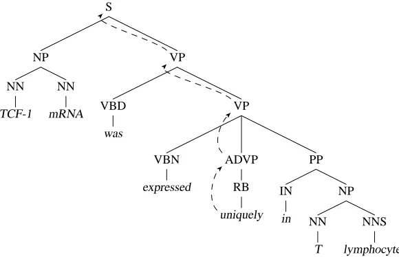 Figure 2: Skipping the POS tag, the lineage string for uniquelyright boundary markers record the fact that the is: [ ADVP ] VP VP S 