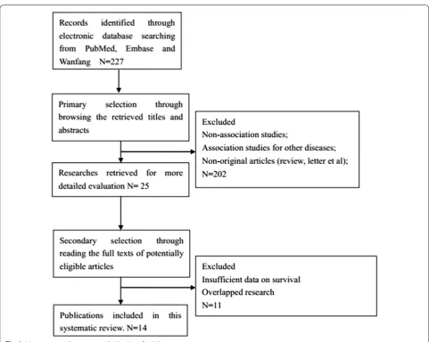 Fig. 1 Literature search strategy and selection of articles