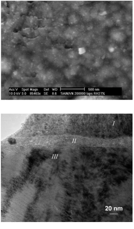 Figure 3 A high resolution SEM image of the TiAlN/VN worn surface. 