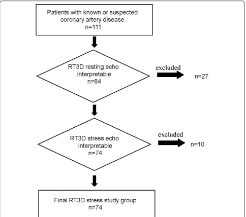 Figure 1 RT3D feasibility at rest: 27 patients were excluded from analysis because of translational artefact or for un-interpretableimages