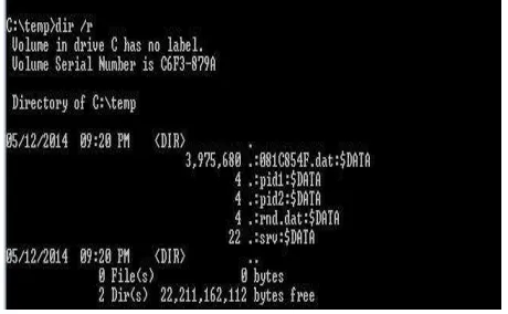 Fig. 6.  NTFS Alternate Streams found in infected windows8 