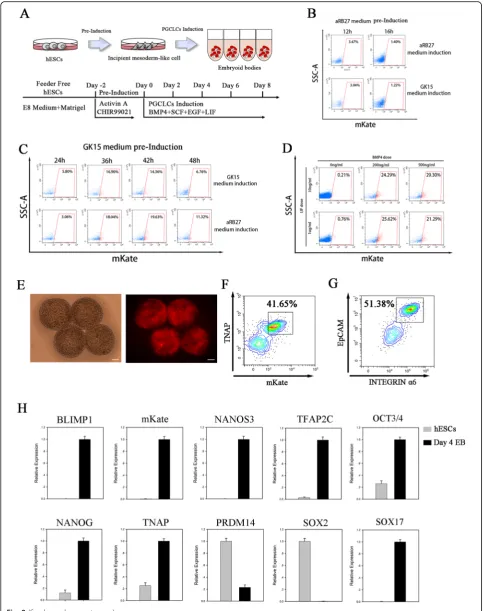 Fig. 2 (See legend on next page.)