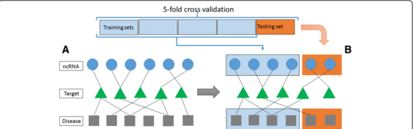 Fig. 4 Algorithm performance evaluation methodology using 5-fold cross validation. From the constructed network as shown in (a), we divide all ncRNA-disease pairs into 5 groups