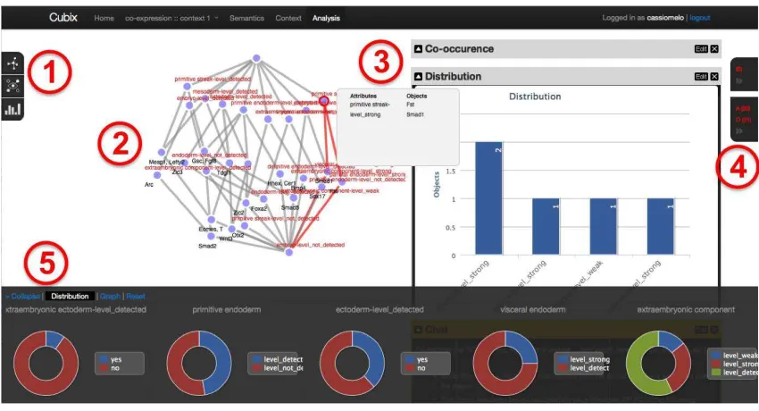 Figure 2: CUBIST user interface displaying the concept lattice for genes, tissues and level of expression inTheiler Stage 9 