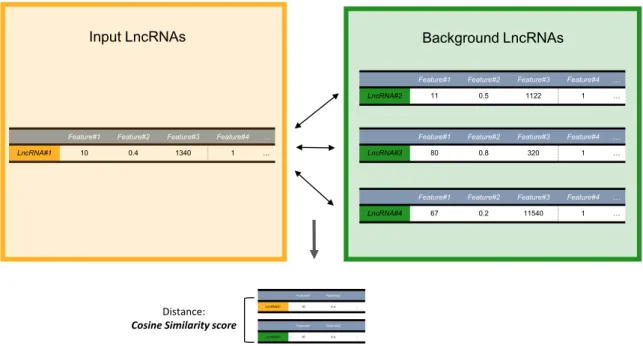 Figure 2. Similar Gene Discovery module workflow. The module compares either one gene or several input genes versus a list of background genes (‘1-to-N’