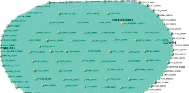 Figure 2.3 Network visualization of the largest Module 1 with high level of expression in  blood