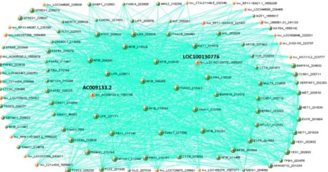 Figure  2.5  Network  visualization  of  Module  4  genes  with  low  level  of  expression  in  blood