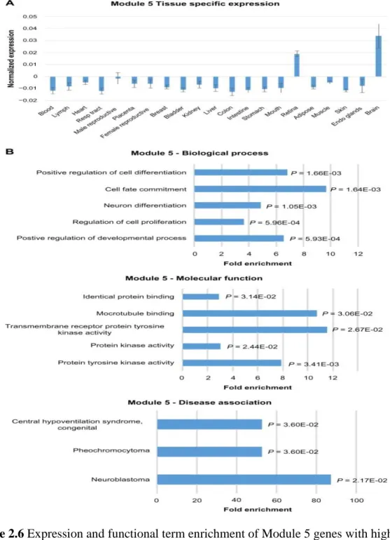 Figure 2.6 Expression and functional term enrichment of Module 5 genes with high  proportion of lncRNAs and high level of expression in brain tissues