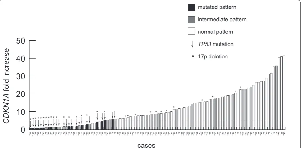 Figure 3 Functional classification of CLL cases of the training cohort according to both western blot assay and evaluation of CDKN1Ainduction by qRT-PCR