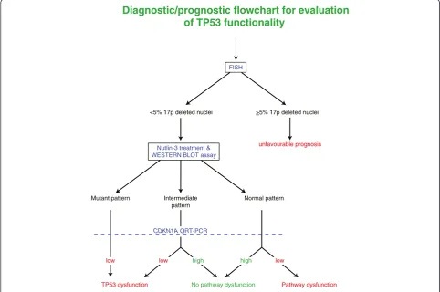 Figure 4 Diagnostic/prognostic flowchart for evaluation of TP53 functionality of CLL cases.