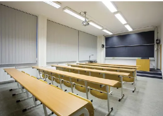 Figure 2 New, but essentially sterile, pedagogic space favoured by ‘efficiency’ guidelines but also by much current practice