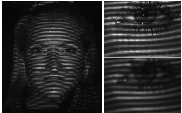 Fig. 6: Left, raw image; top right, raw detail; bottom right, ﬁltered detail.