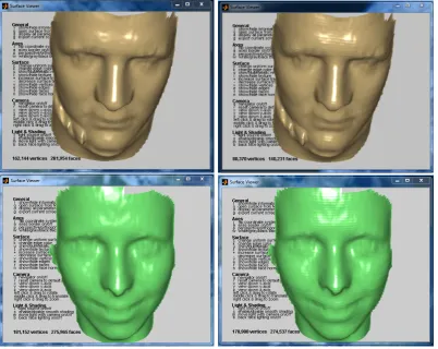 Figure 3. Left: original meshes; right: PDE reconstructed
