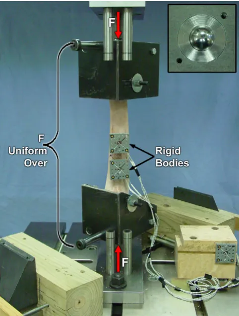Figure 2spheresAxial compression (F) applied through hardened steel Axial compression (F) applied through hardened steel spheres
