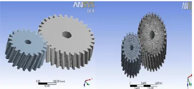 Fig 3:Solid Meshing of Plasic Helical Gear  