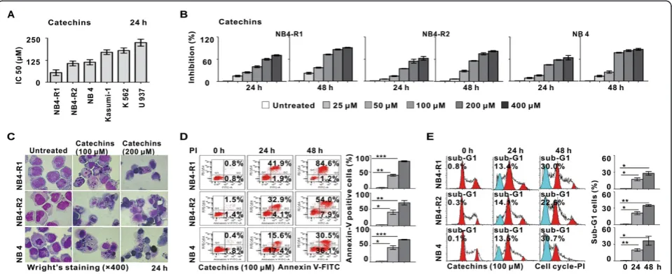 Figure 1 The effect of Catechins treatment on growth and apoptosis of human leukemia cell lines