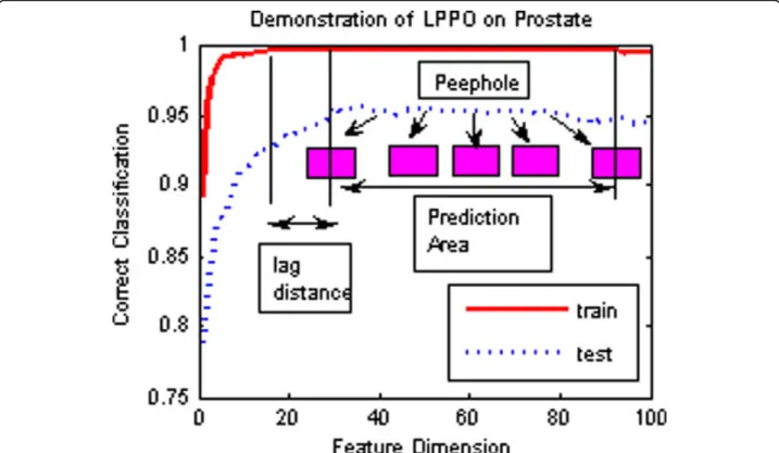 Figure 3 A sketch description of the Lagging Prediction Peephole Optimization on Prostate data set.