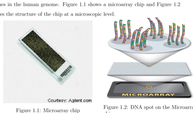 Figure 1.1: Microarray chip Figure 1.2: DNA spot on the Microarray chip