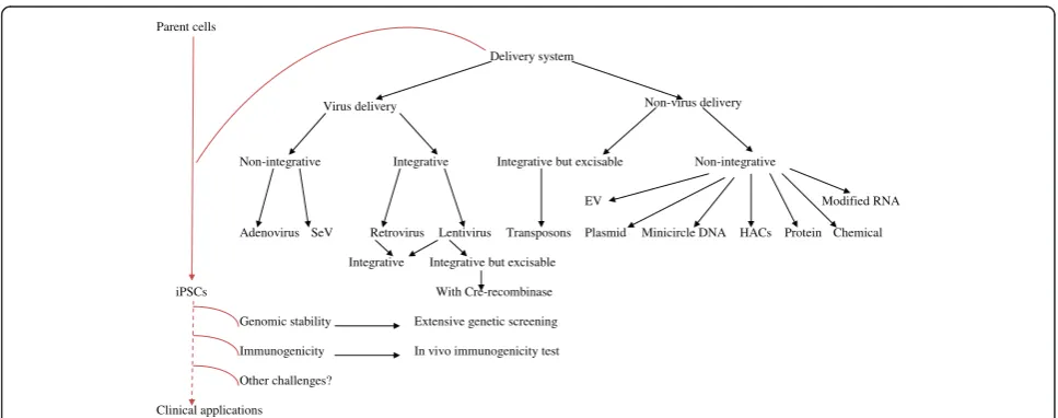 Figure 2 Schematic representation of delivery systems used for iPS induction: viral, non-viral; integrative, integration but excisable,integration-free approaches and the challenges encountered