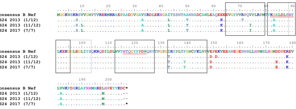 Figure 8. No evolution observed in ES24 CD8+ T cell–targeted Nef epitopes. Epitopes targeted in Nef by ES24 CD8+ T cells
