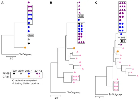 Figure 1. Large degree of clonality in Pt169 replication-competent and proviral full-length env and nef sequences
