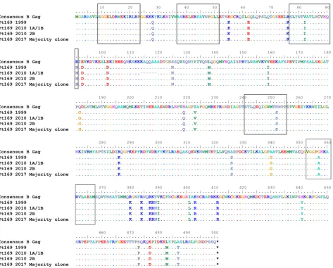 Figure 5. No evolution observed in Pt169 CD8+ T cell–targeted Gag epitopes. Epitopes targeted in Gag by Pt169 CD8+ T cells