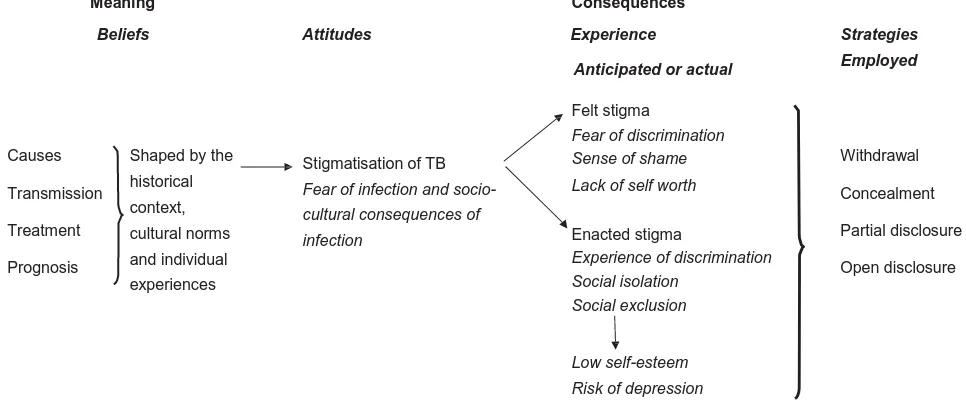 Figure 1 Meaning  and consequences  of TB for people of Somali origin in the UK.