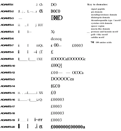 Figure 1.7: Domain structure of ADAMTS proteins Reproduced with permission, 