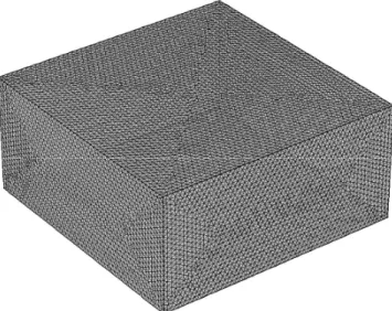 Figure 8 Boundary conditions surface mesh approximation 