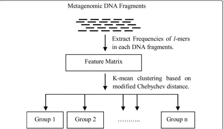 Figure 2 The pipeline of our binning algorithm First, the l-mer frequencies of each input sequence are counted